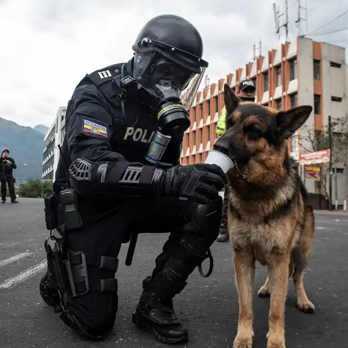 Abogado especialista en delitos contra la salud pública en Valladolid | Defensa penal experta Agente antidisturbios con mascarilla y uniforme especializado da agua a un perro policía durante una operación de control en vía pública.